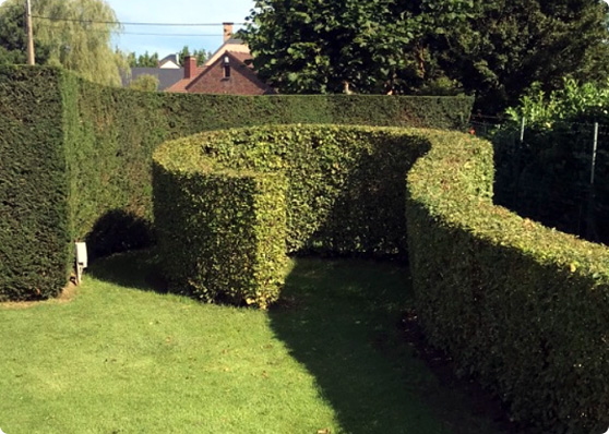 taille en cercle