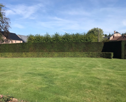 entretien jardin