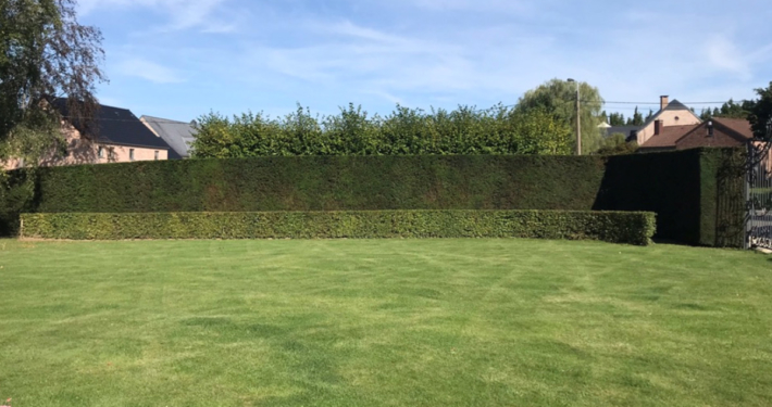 entretien jardin