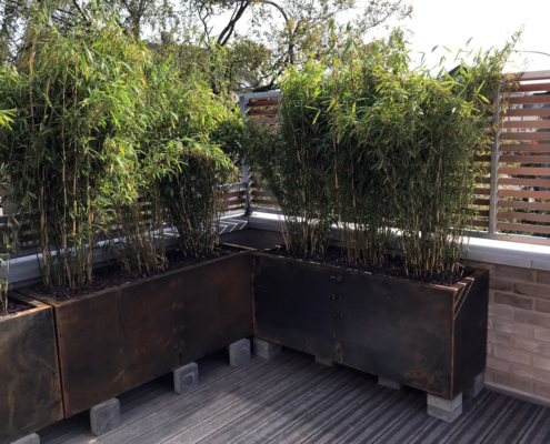 plante terrasse