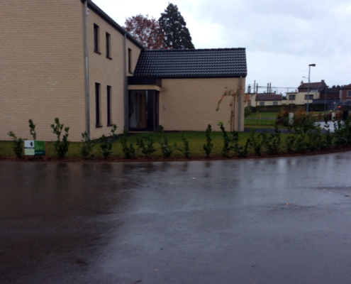 plantation haie